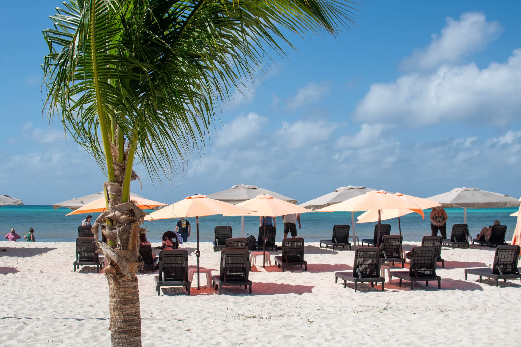 Cozumel Punta Sur Excursion — Snorkel & Beach Break with Round Trip
